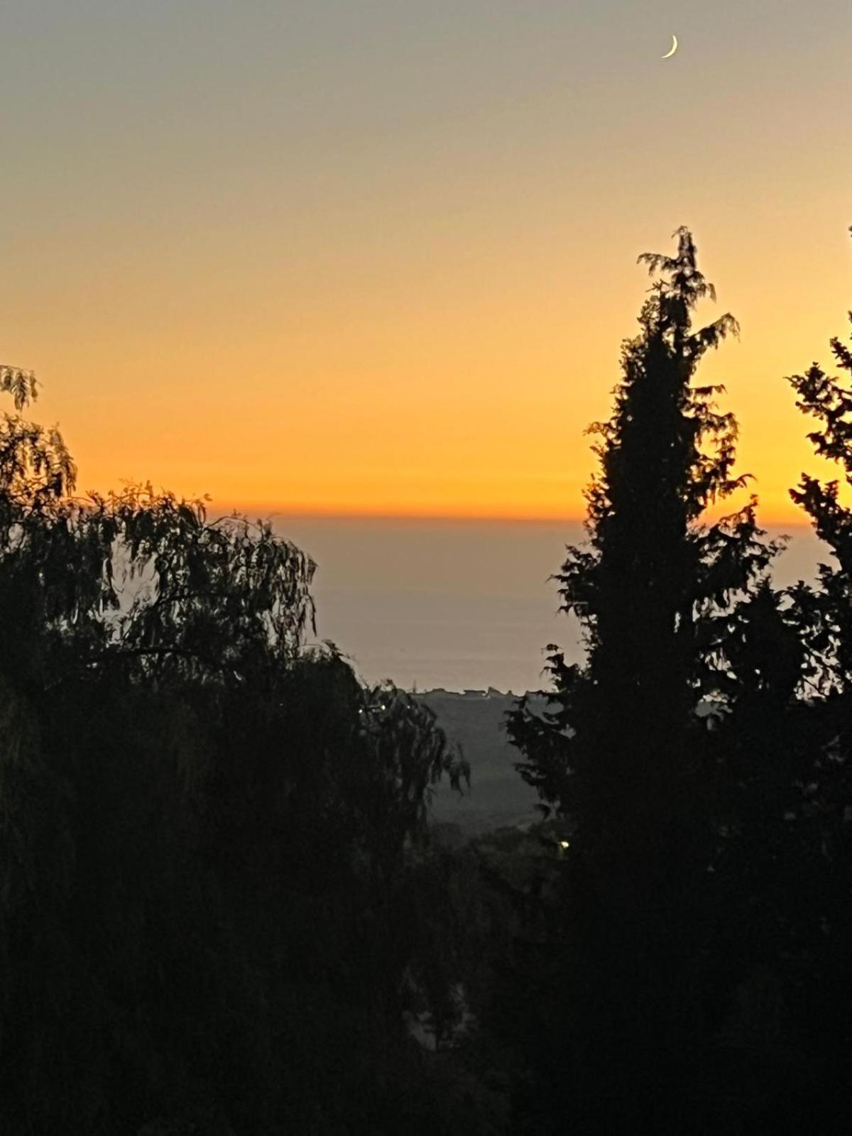 Falaride Suite Agrigento Discesa Sulla Valle Di Oro Exteriör bild